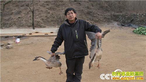 [�¸���]����˽��Ǯ ��ס�Ϸ��� ���ϵ��¶�׬Ǯ 20190117