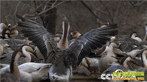 [�¸���]����˽��Ǯ ��ס�Ϸ��� ���ϵ��¶�׬Ǯ 20190117