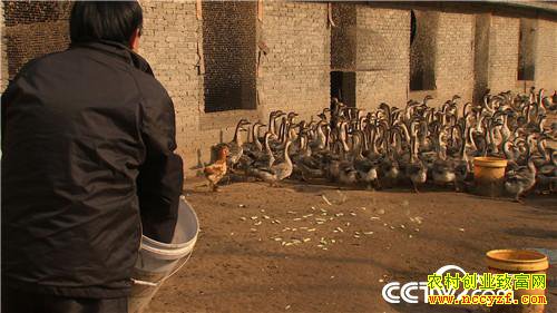 [�¸���]����˽��Ǯ ��ס�Ϸ��� ���ϵ��¶�׬Ǯ 20190117