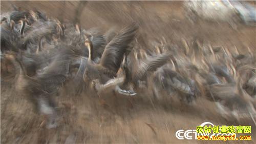 [�¸���]����˽��Ǯ ��ס�Ϸ��� ���ϵ��¶�׬Ǯ 20190117