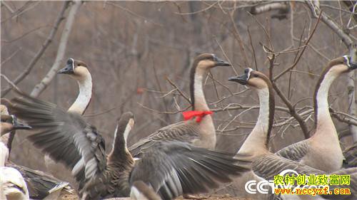 [�¸���]����˽��Ǯ ��ס�Ϸ��� ���ϵ��¶�׬Ǯ 20190117