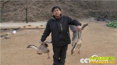 [�¸���]�ӱ�����������ֳ�������ϵ��¶�׬Ǯ