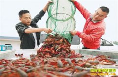 �Ĵ�������������ǿ��ֳС��Ϻ��������