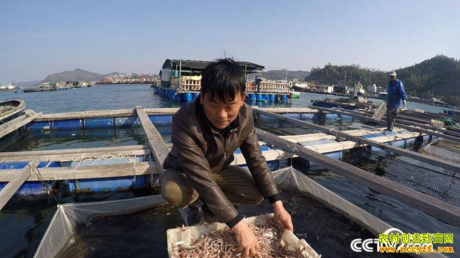 ˮ�µ�ϡ��Ƹ� һ����Ҫ��300��