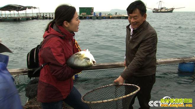 ˮ�µ�ϡ��Ƹ� һ����Ҫ��300��