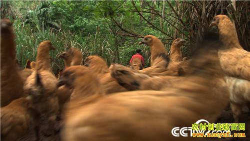 [�¸���]�Ѽ������ߡ� �۸񷭱� 20190121 