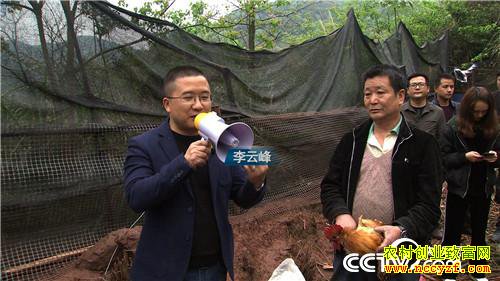 [�¸���]�Ѽ������ߡ� �۸񷭱� 20190121 