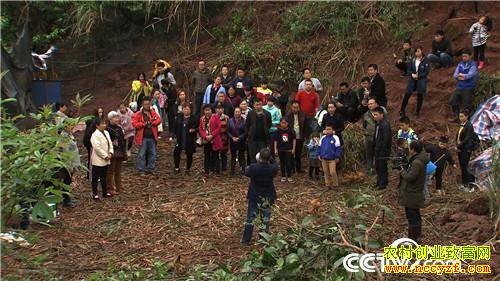 [�¸���]�Ѽ������ߡ� �۸񷭱� 20190121 