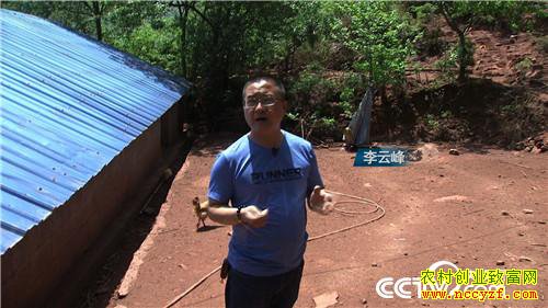 [�¸���]�Ѽ������ߡ� �۸񷭱� 20190121 