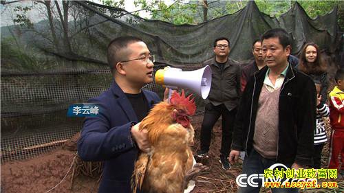 [�¸���]������Ϫ�����Ʒ��������Ѽ������ߡ��۸񷭱�