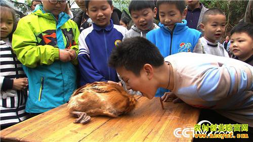 [�¸���]�Ѽ������ߡ� �۸񷭱� 20190121 