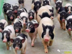 �㽭���ݶ��۷����պ��Ǵ����������Ļ���԰