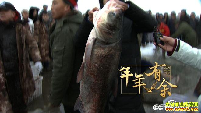 [�¸���]���ڱ�����ʮ������زƸ� 20190116