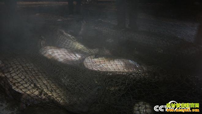 ���ڱ�����ʮ������زƸ�