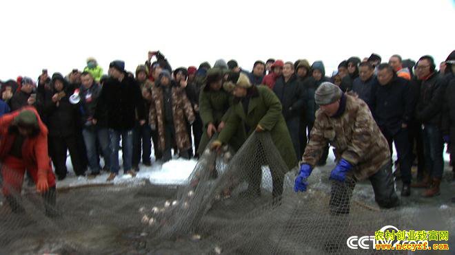 ���ڱ�����ʮ������زƸ�