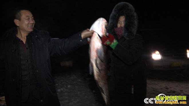 ���ڱ�����ʮ������زƸ�