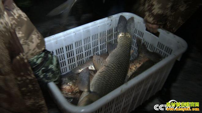 ���ڱ�����ʮ������زƸ�