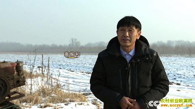 ���ڱ�����ʮ������زƸ�