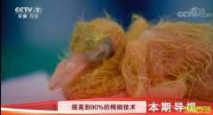 [�Ƽ�Է]���Ҫ�������� �������ǰ����