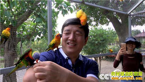 [�¸���]�����������´� ���Ż��������� 20190211 