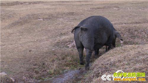 [�¸���]������ֳ׬Ǯ�и��� ���Ż���������