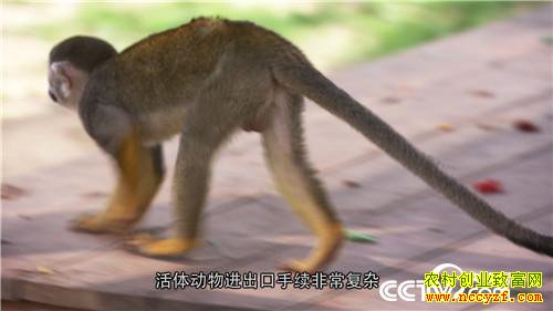 [�¸���]�����������´� ���Ż��������� 20190211 