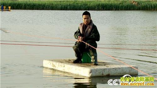 [�¸���]�����������´� ���Ż��������� 20190211 