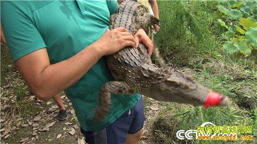 [�¸���]�����������´� ���Ż��������� 20190211 