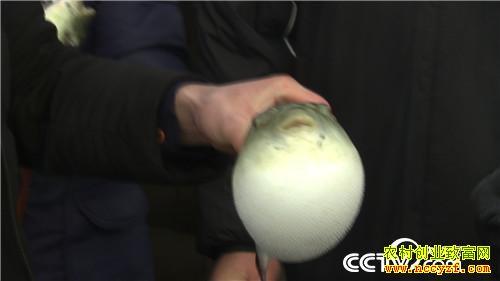 [�¸���]�����������´� ���Ż��������� 20190211 