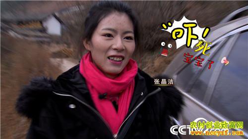 [�¸���]�����������´� ���Ż��������� 20190211 