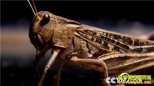 [�¸���]�����������´� ���Ż��������� 20190211 