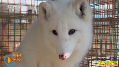 [ÿ��ũ��]������ı�������ֳ��׬Ǯ