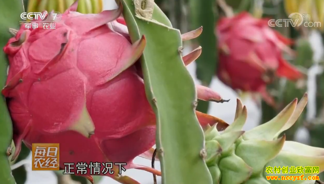 [ÿ��ũ��]1��16�ιҹ��Ļ����� 20190117