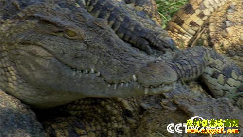 [�¸���]�����������´� �����¸����� 20190212 