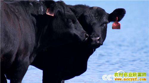 [�¸���]�����������´� �����¸����� 20190212 