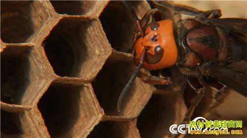 [�¸���]�����������´� �����¸����� 20190212 