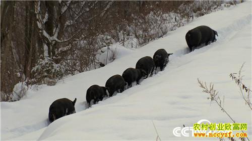 [�¸���]�����������´� �����¸����� 20190212 