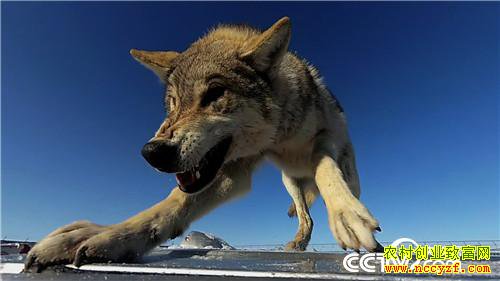 [�¸���]�����������´� �����¸����� 20190212 