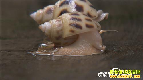 [�¸���]�����������´� �����¸����� 20190212 