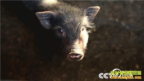 [�¸���]�����������´� �����¸����� 20190212 