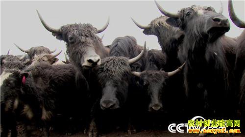 [�¸���]�����������´� �����¸����� 20190212 