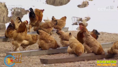 [ÿ��ũ��]�½���ľ������κ���ҡ����ǹ��衱�ļ���Ȼ׬Ǯ��