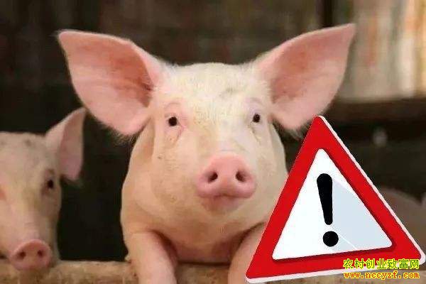 Ϊʲô��������û�����磿