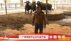 [�Ƽ�Է]��ˮţ����� ��������ƽ��ֳ��ˮţ�и���