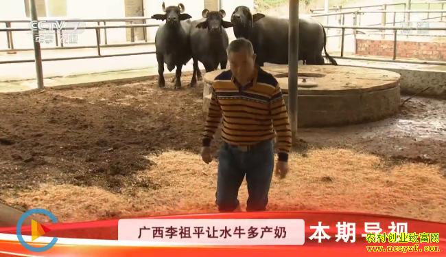 [�Ƽ�Է]������ˮţ����� ��������ƽ��ˮţҪ����