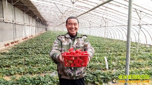 ɽ�������ظ�����һ���ݮ����10��Ԫ