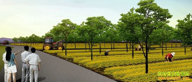 ����ũ���ʲô׬Ǯ��2019���߸���׬Ǯ��ũҵ��ģʽ