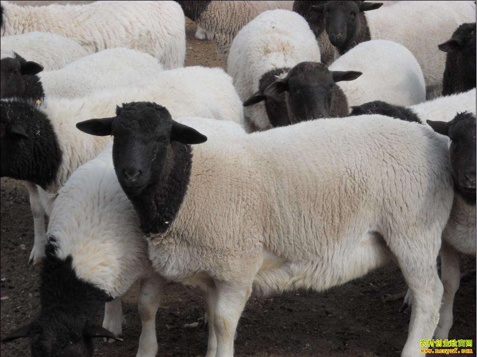 �������Ǯһ�ȫ���������۸�����