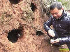 �Ĵ�������֣���淵�紴ҵ�䶴��������ֳ�ڼ�Ч���