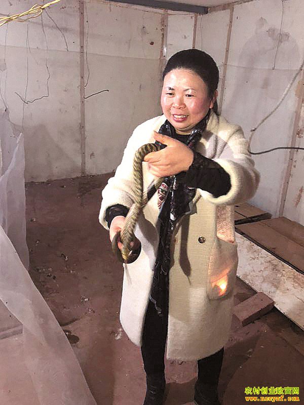 �Ĵ���̨�ء�������㡱���������紴ҵ�����¸�·